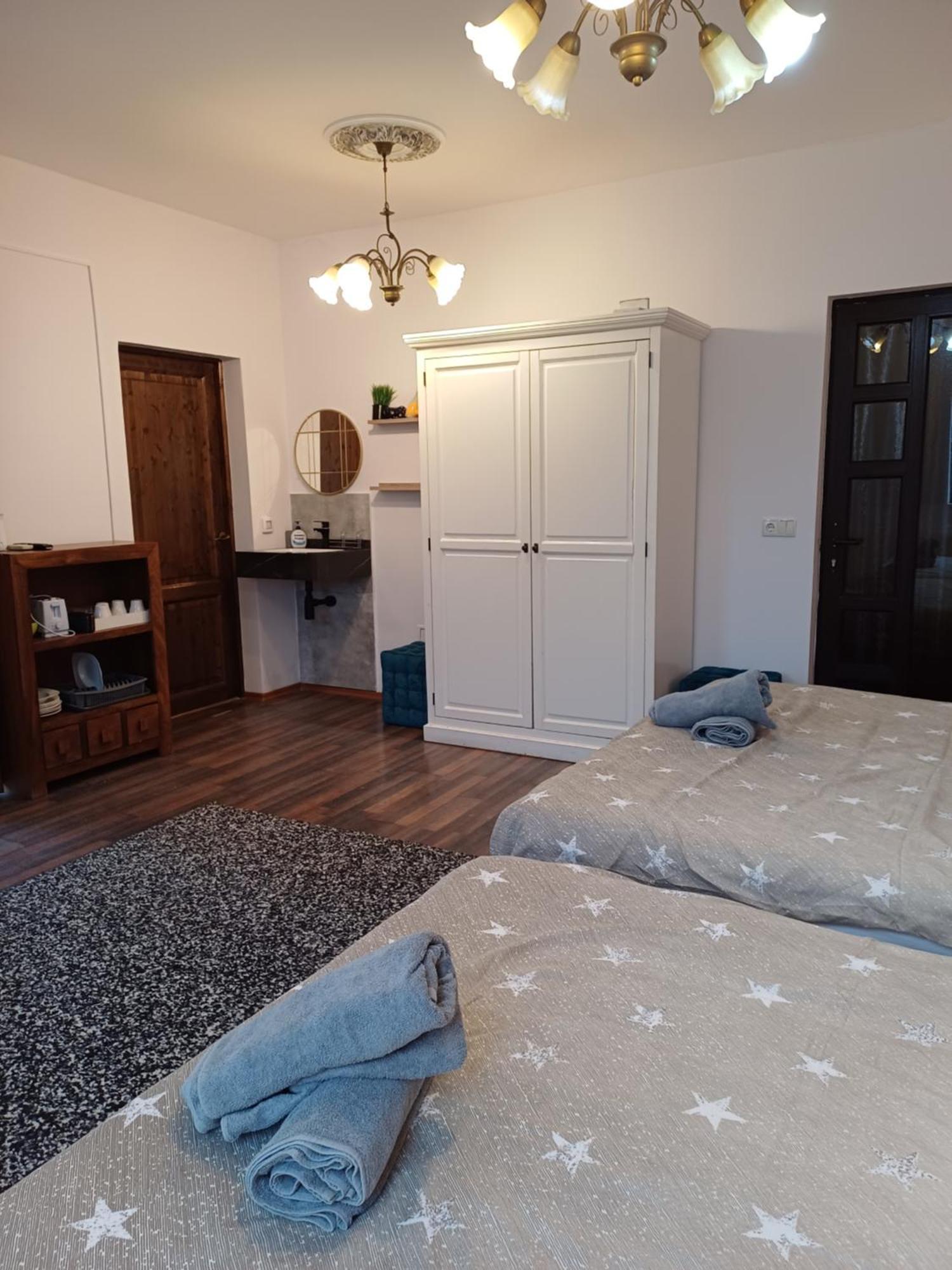Pannonia Rooms And Apartments Satu Mare Bagian luar foto